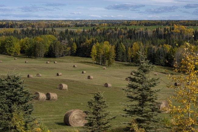 Фото: ru.freepik.com