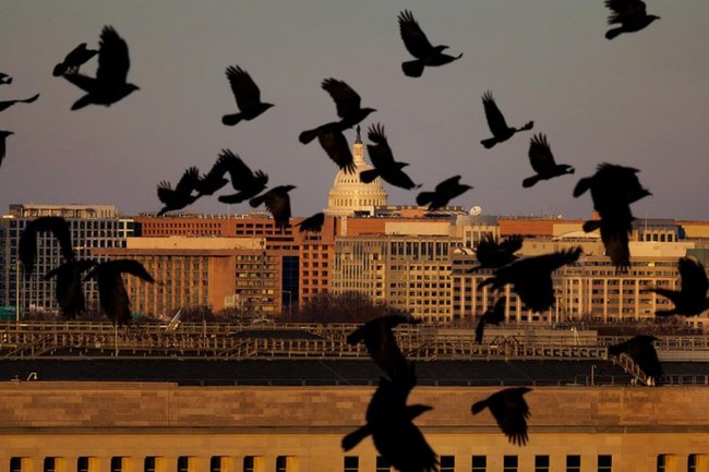 Пентагон в Арлингтоне, США