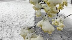 Снег в Москве перед 1 мая: когда вернется тепло