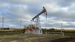 Вложения в нефтегазохимическую сферу Татарстана составили 236 миллиардов за год