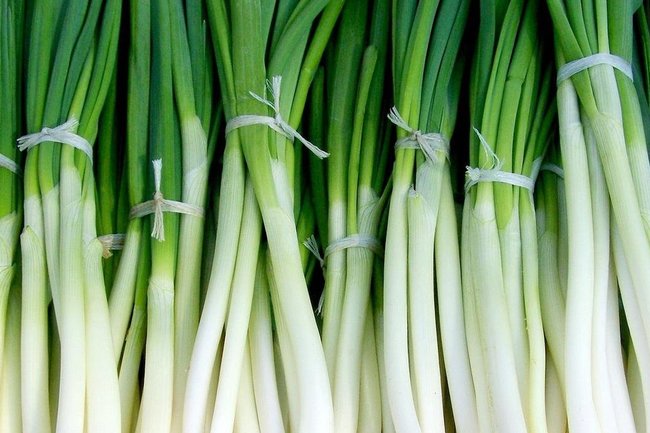 зеленый лук