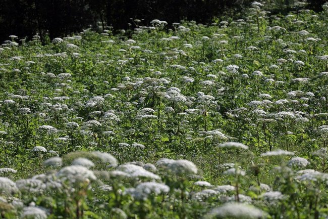 Фото: Павел Львов / РИА Новости