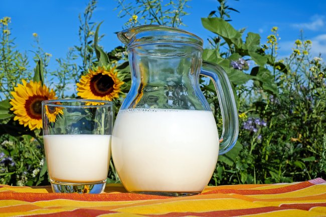 Краснодарские предприятия стали лидерами по надою молока