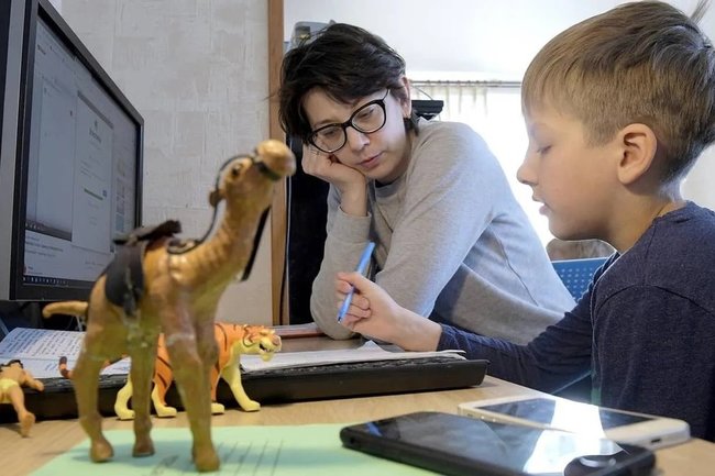 В Забайкальском крае школьники продолжат учиться дистанционно