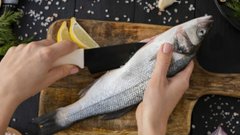 Эту рыбу категорически нельзя употреблять в пищу: она находит свое место на ужине и порой даже на столе детей