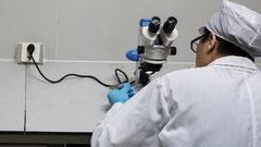 Первый в мире клеточный препарат для лечения болезни Паркинсона получил одобрение в Японии