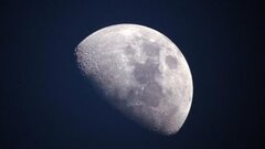 Россия планирует выращивать помидоры на Луне