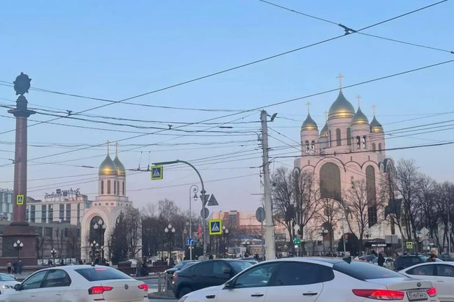 Марина Маркевич