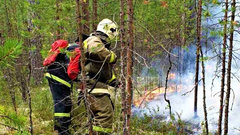 В Югре из бюджета направят 130 млн на тушение пожаров в лесах
