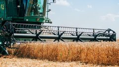 Минсельхоз прогнозирует высокий урожай в 2026 году
