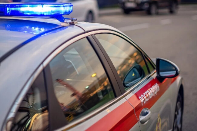 В Петербурге сотрудник Росгвардии спас тонущего в ледяной воде ребенка