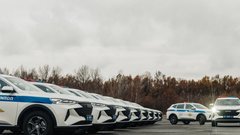 Автомобилистам разрешат заказывать госномера за дополнительную плату