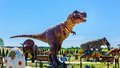 Янтарный комбинат проведет забег динозавров