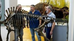 В России представят скелет самки бизона, возраст которой составляет 130 тысяч лет