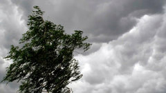 Угроза жизни и здоровью людей: Калужскую область накроет 9-балльный шторм