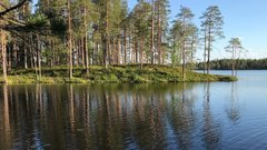 Сотрудники национального парка Карелии сообщили о задержках зарплат