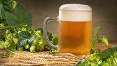 Рост цен на пиво в России составил 20% за год