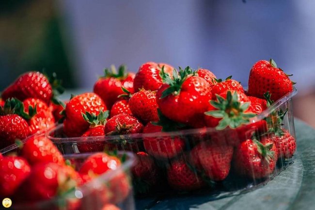 В Чувашии в День России пройдет первый ягодный фестиваль
