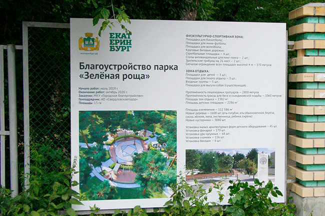 Экологи взяли на контроль реконструкцию Зеленой Рощи в Екатеринбурге
