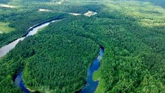 Лесопромышленники попросили Мантурова ввести мораторий на банкротства