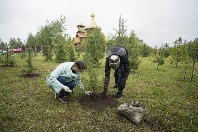 В Иркутске появится городское лесничество