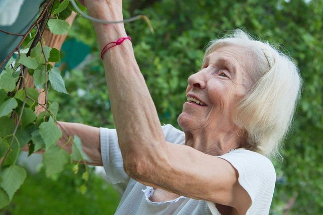 108-летняя британка рассказала, что помогает ей жить