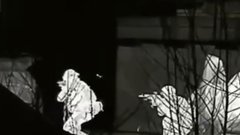 ФСБ предотвратила теракт на нефтезаводе в Коми