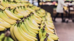 Российская путешественница назвала супермаркет в США «образцом идеального мира»