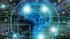 Минцифры представит предложения по регулированию ИИ в России до 13 марта