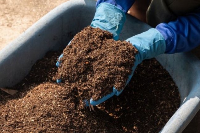 Удобрение - РИА Новости, 1920, 03.02.2026