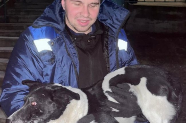 Спасение собаки в Новороссийске