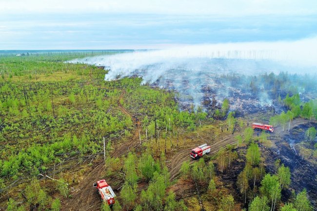 В Югре борются с двумя лесными пожарами