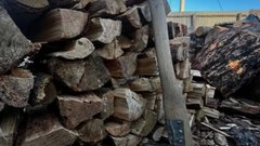 В Эстонии наблюдается нехватка дров из-за затянувшихся холодов