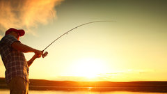 Рыбаки поймали тунца необычайных размеров