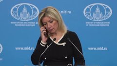 Захарова: В фамилии президента Финляндии Стубба должна быть буква «п»