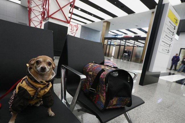 Фото: Андрей Любимов / РБК