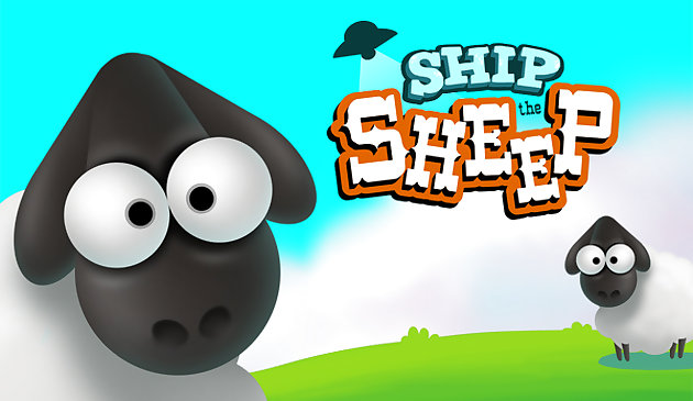 Schiff das Schaf