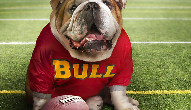 Забавный собачий пазл