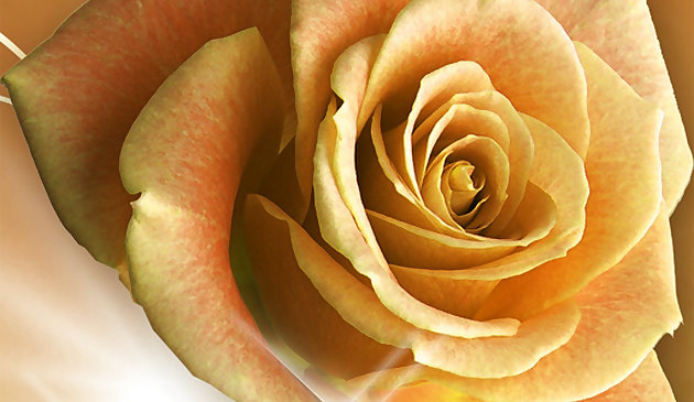 Желтые розы. Пазл