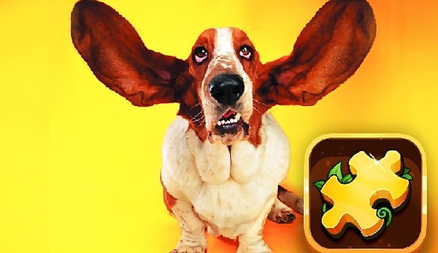 Забавные собаки. Пазл