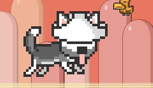 Мистер прыжок хаски