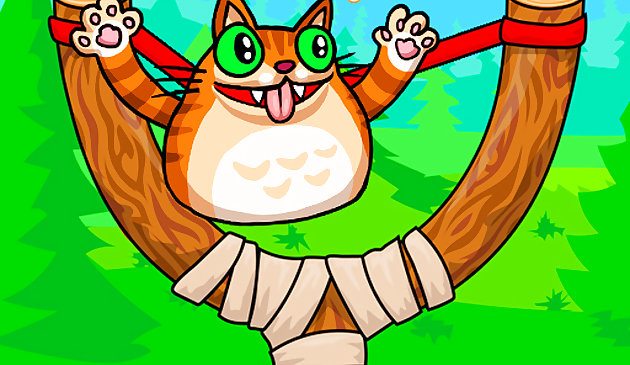 Выстрел сердитого кота