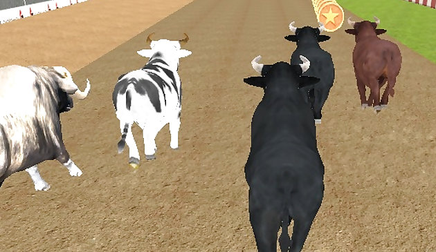 Гонки разгневанных быков