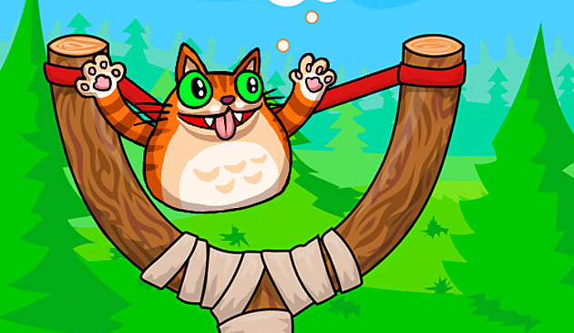 EG сердитый кот