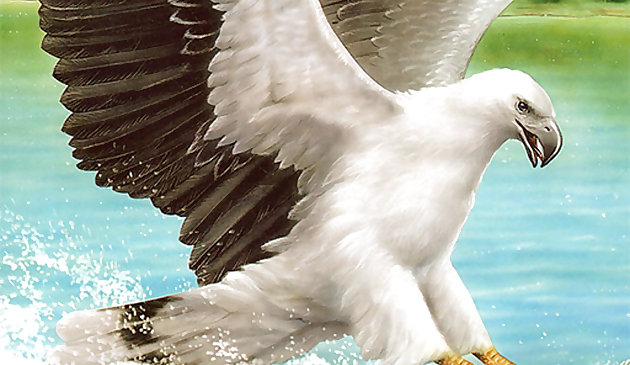 Хищные птицы. Слайд