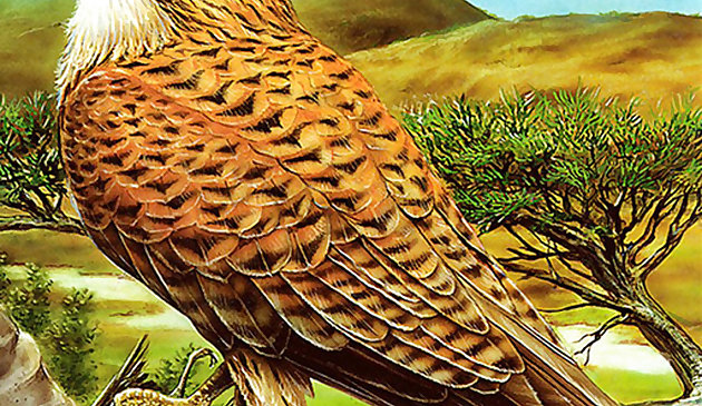 Хищные птицы. Пазл