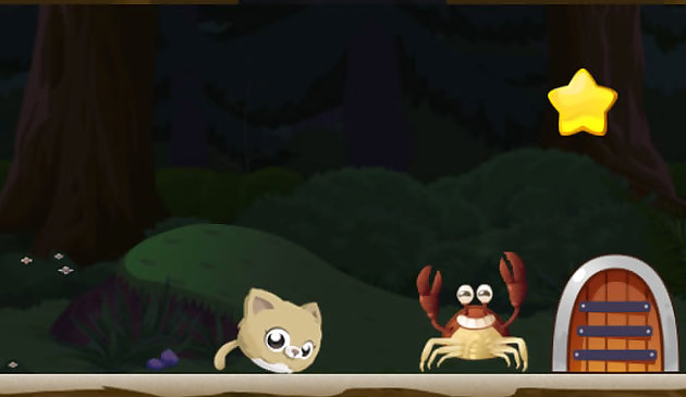 Кот катится