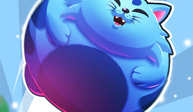 Супер суши: парящий кот