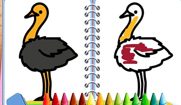Gioco degli uccelli da colorare