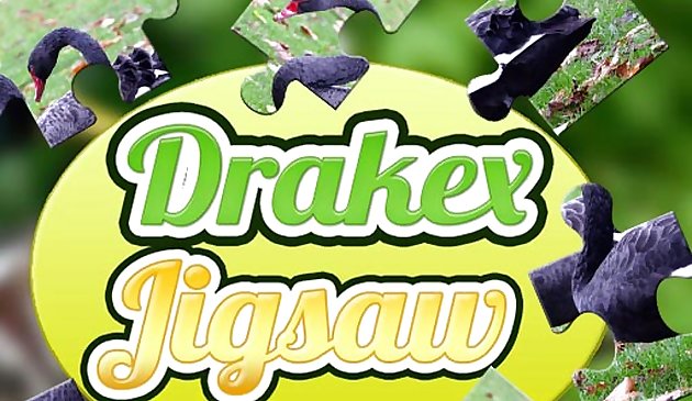 Teka-teki Drake